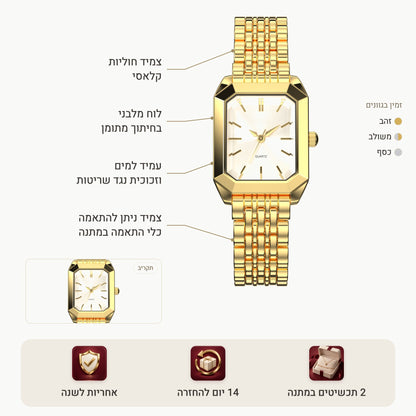 שעון ליון – תכונות ומפרט